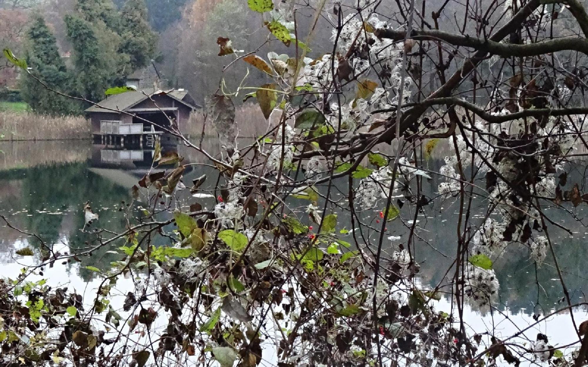 Apartment Karlsbach